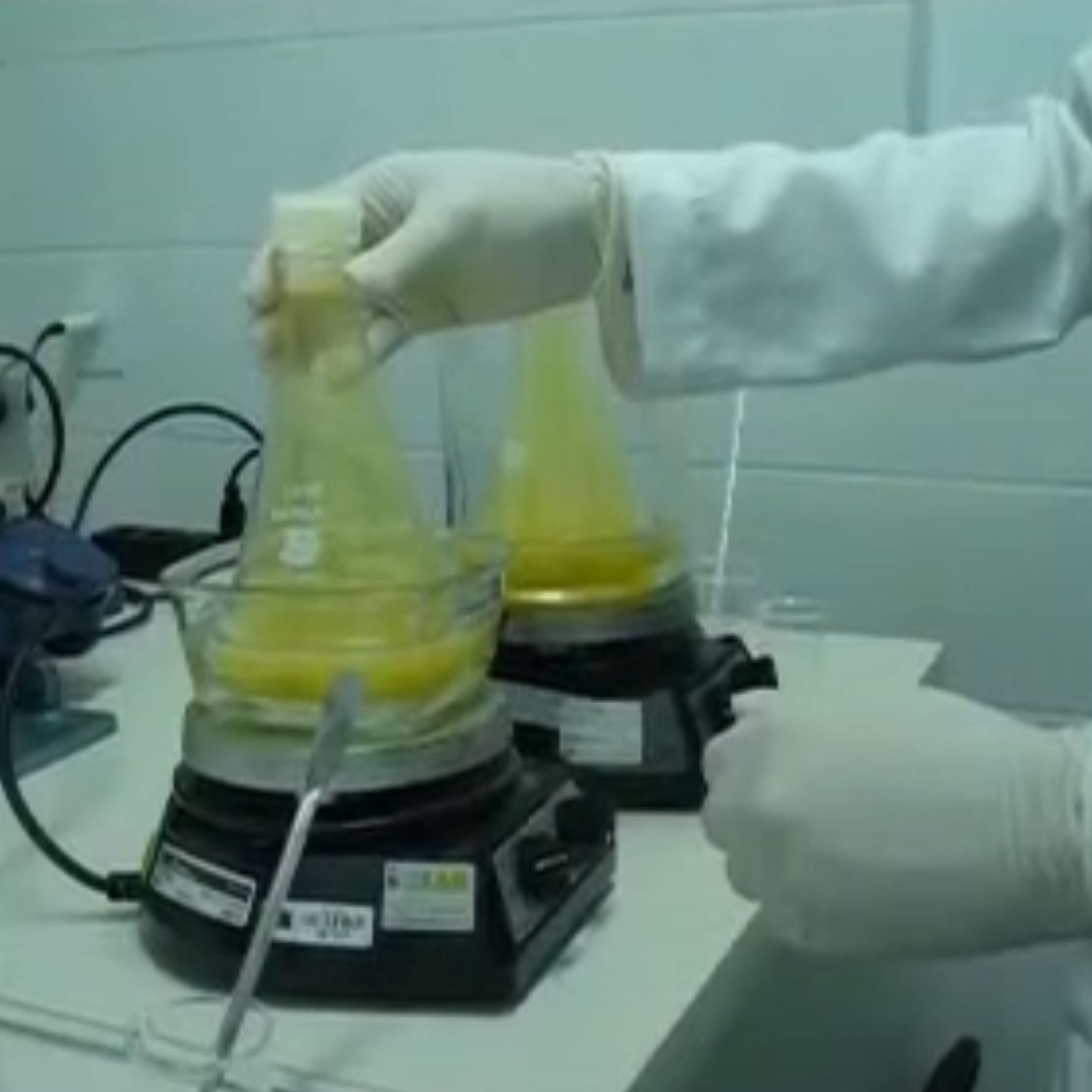 LABORATÓRIO DE TECNOLOGIAS EM BIOMASSA